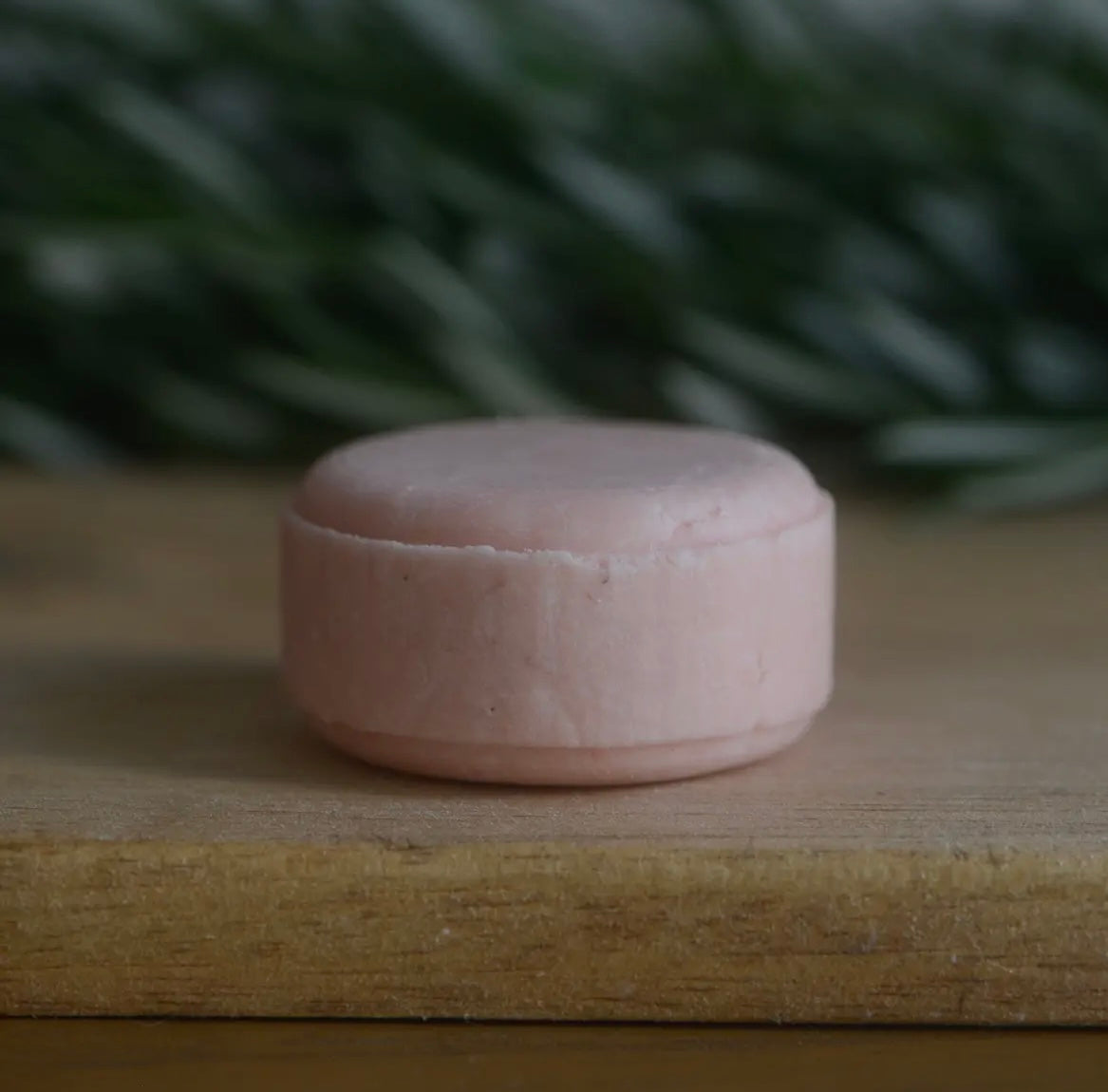 Shampoo Bars